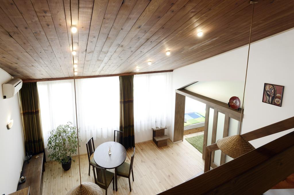 Artistic Penthouse Sofia
